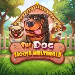 The Dog House Multihold game at Memo Casino for United Kingdom players The Dog House Multihold game at Memo Casino for United Kingdom players